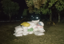 সরকারের ধান ক্রয় নিয়ে কালোবাজারির অভিযোগ