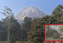 পাখি পাহাড়ে গাইডের ভূমিকায় স্থানীয় মহিলারা, দিশা দেখাচ্ছে আর্থিক স্বাধীনতার