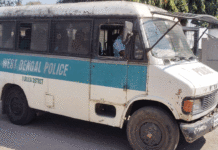 আগ্নেয়াস্ত্র দেখিয়ে গরু ছিনতাইয়ের চেষ্টা, ধাওয়া করে তিন দুষ্কৃতী ধরল গ্রামবাসী