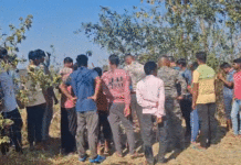 হাতির হানায় মৃত বৃদ্ধের পরিবারকে ৫ লক্ষ টাকা ক্ষতিপূরণ