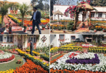 দূষণে জর্জরিত শিল্প শহরে রঙীন সাজে সেজে উঠেছে প্রকৃতি