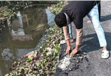 পথশ্রী প্রকল্পে রাস্তা তৈরির দুদিনের মধ্যে উঠছে চাঙর! দুর্নীতির অভিযোগে সরব বিজেপি