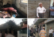 মাকে গুলি করে খুন করে আগুন লাগিয়ে আত্মঘাতী ছেলে, চাঞ্চল্য