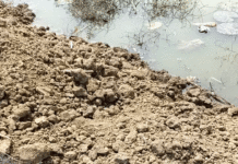 রাতের অন্ধকারে পুকুর ভরাটের অভিযোগ জমি মাফিয়াদের বিরুদ্ধে