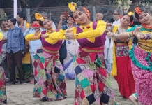 দোল উৎসবে মেতে উঠল যাদবপুরের কালচারাল ট্রুপ-এর শিক্ষার্থীরা