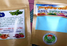 ভেষজ আবির তৈরি করছে স্বেচ্ছাসেবী সংস্থা