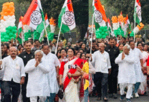 প্রদীপের সবুজ ঝড়ে রঙিন হলো শিল্পাঞ্চলের স্টিল টাউনশিপ