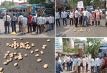 রাস্তায় আলু ফেলে বিক্ষোভ অল ইন্ডিয়া কিষাণ ক্ষেতমজুর সংগঠনের