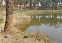 হোলির দুপুরে পুকুরে স্নান করতে নেমে মৃত্যু দুই যুবকের