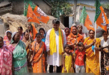 ভোটে জিতলে ‘লাখপতি দিদি’ বানিয়ে দেওয়ার আশ্বাস বিজেপি প্রার্থীর