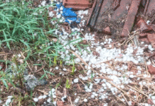 প্রখর দহনে স্বস্তির বৃষ্টি: শিল্পাঞ্চলে নামল তাপমাত্রার পারদ