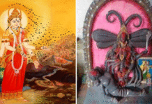 দেবী ভ্রামরীর সৃষ্টি আসলে অধর্মের বিনাশের জন্য