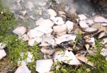 তৃণমূল নেতার বিরুদ্ধে সরকারি নথি পোড়ানোর অভিযোগ, চাঞ্চল্য