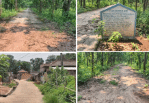 জঙ্গলে হারিয়েছে উন্নয়নের পাকা রাস্তা, রাস্তা তৈরিতে চরম দুর্নীতির অভিযোগ