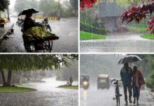 পা রাখল বর্ষা, তীব্র দাবদাহ পেরিয়ে ভিজতে চলছে দক্ষিণবঙ্গ