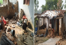 রাজনৈতিক হিংসার অভিযোগে তৃণমূল নেতাদের বিরুদ্ধে সরব বিজেপি