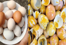 তৃণমূল নেতাদের উপর ডিমবৃষ্টি, ‘পচা ডিমর’ দাম বাড়ছে হু হু করে বাজারে