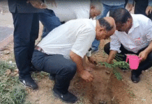 দুর্গাপুর মহকুমা আদালতের নতুন ভবন প্রাঙ্গণে বৃক্ষরোপণ কর্মসূচি