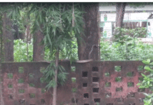 দুর্গাপুর মহকুমা হাসপাতালে সাপের আতঙ্ক