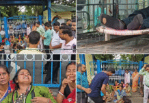 ইস্কোর ঠিকা শ্রমিকের মৃত্যুতে ক্ষতিপূরণ ও চাকরির দাবিতে বিক্ষোভ